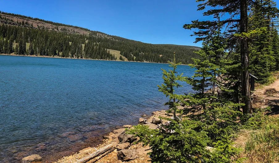 Exploring My Perfect Day: A Journey of&nbsp;Self-Discovery